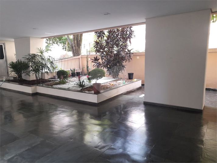 Foto REO406796
