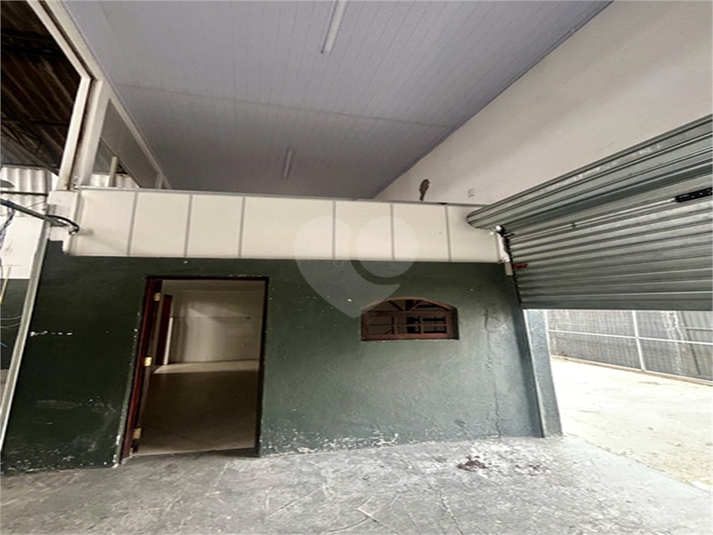 Foto REO406906