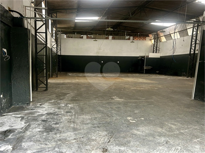 Foto REO406906