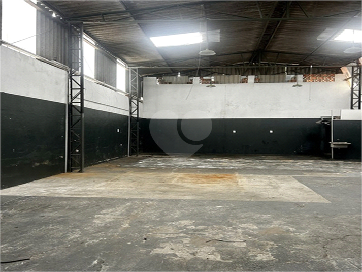Foto REO406906