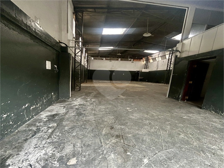 Foto REO406906