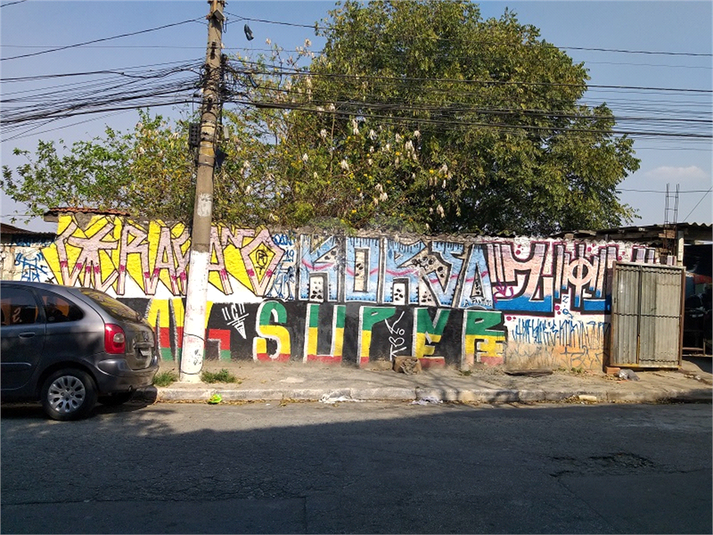 Foto REO407119
