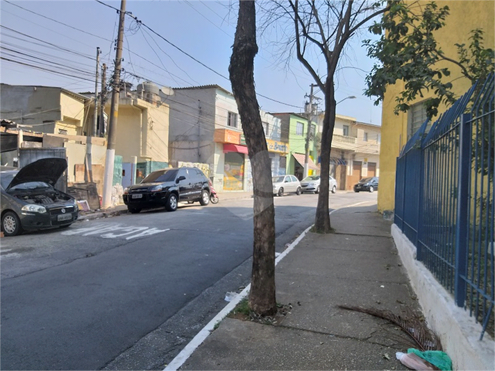 Foto REO407119