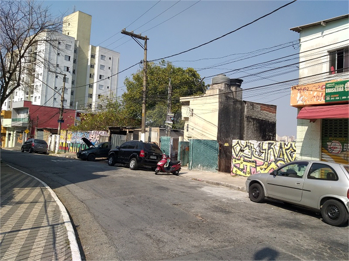 Foto REO407119