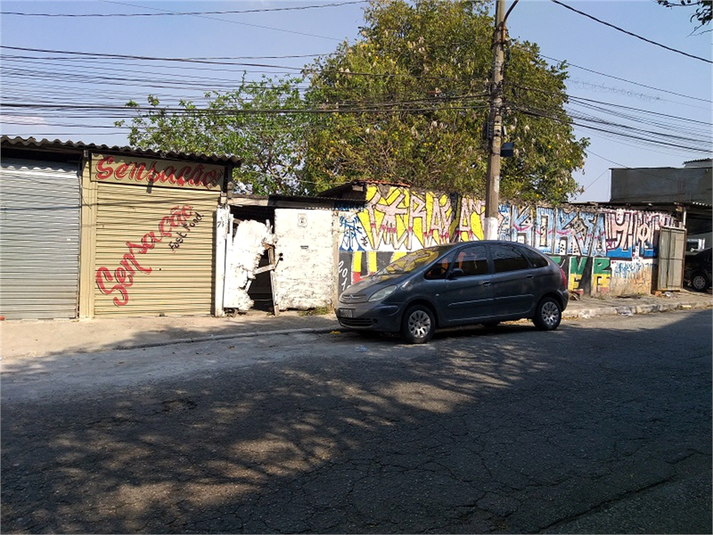 Foto REO407119