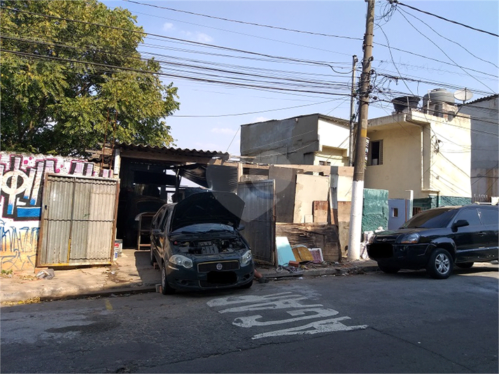 Foto REO407119