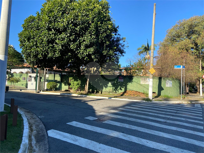 Foto REO407473
