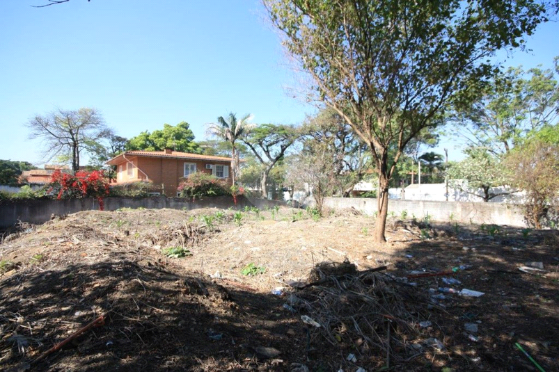 Foto REO407480