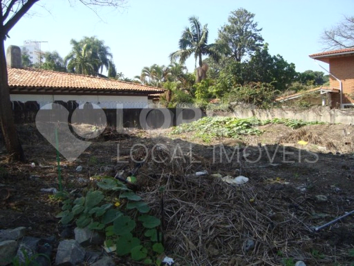 Foto REO407480