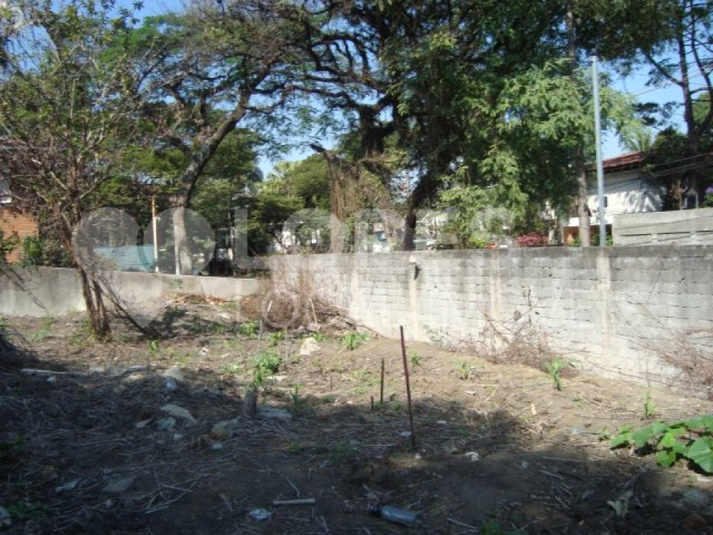 Foto REO407480