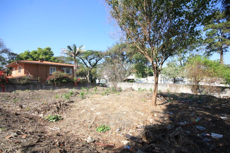 Foto REO407480