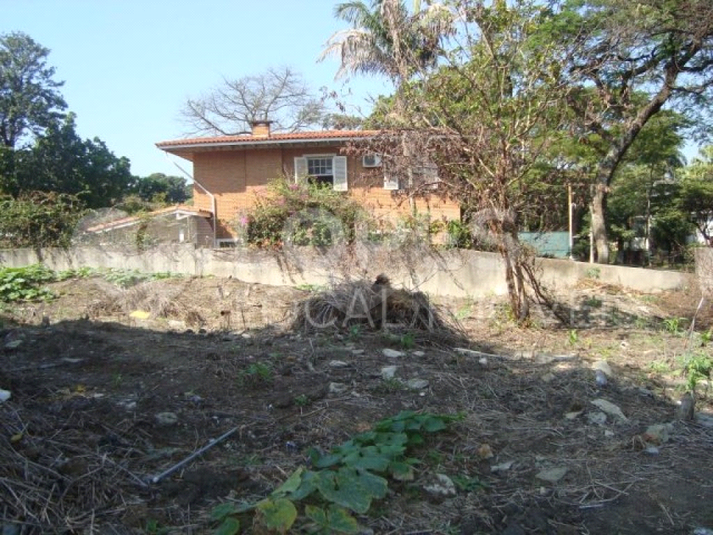 Foto REO407480