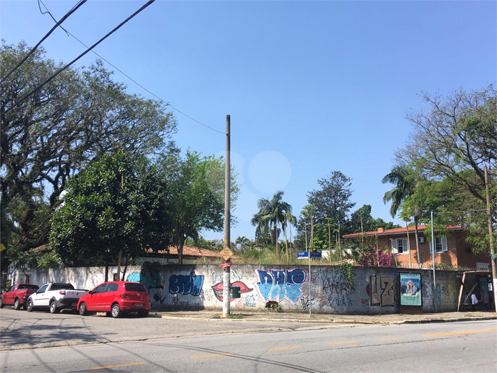 Foto REO407480