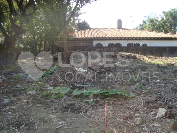 Foto REO407480