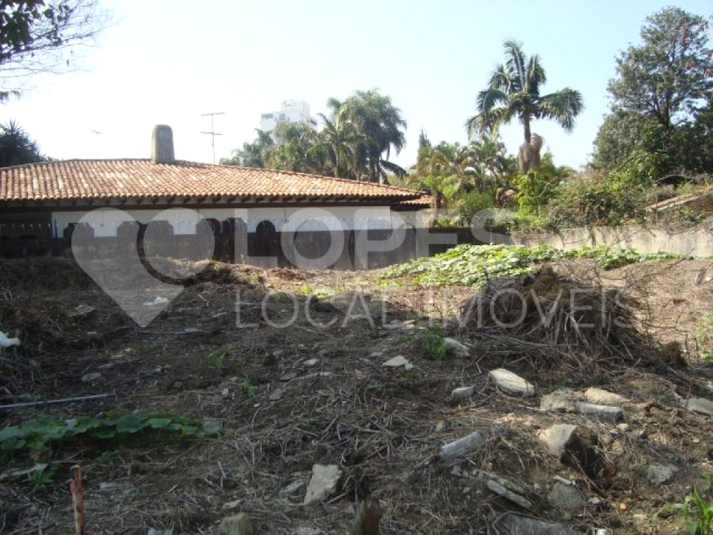 Foto REO407480