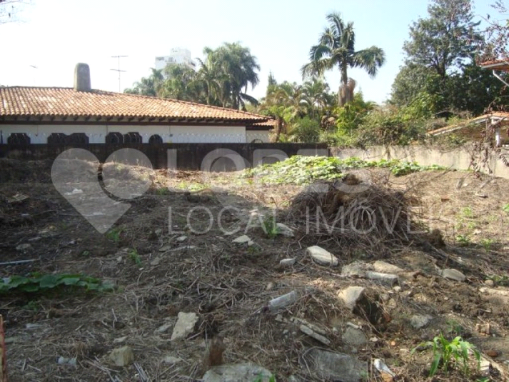 Foto REO407480