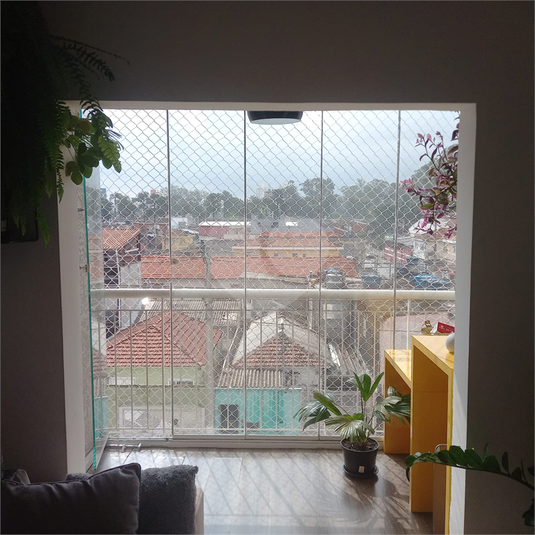 Foto REO407548