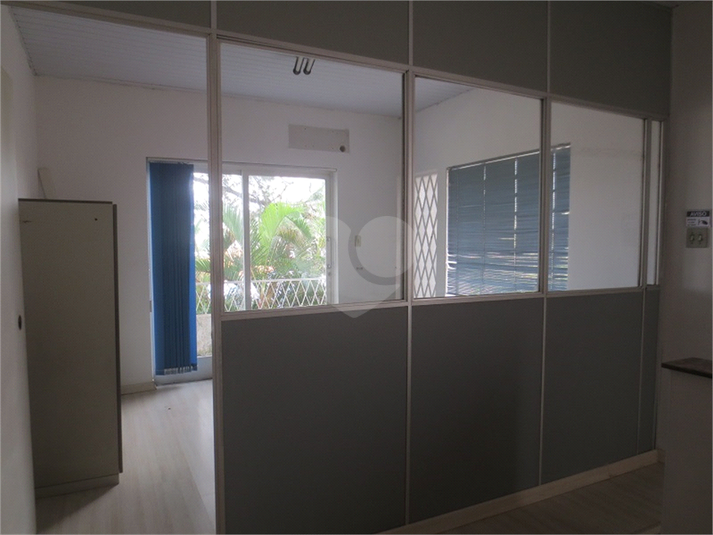 Foto REO407853