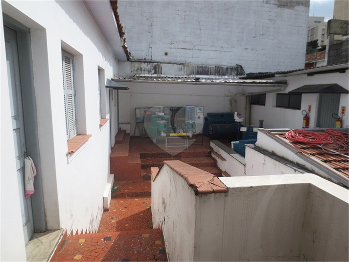 Foto REO407853