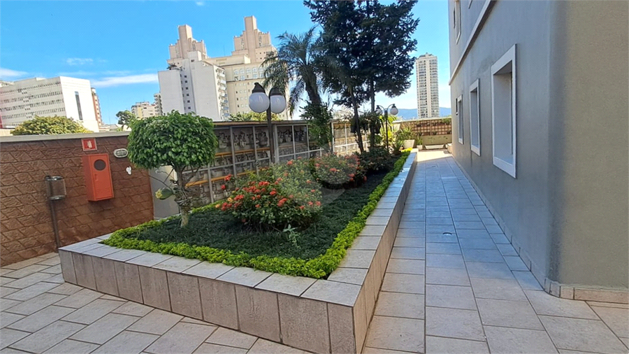 Foto REO407919