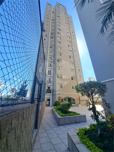 Foto REO407919