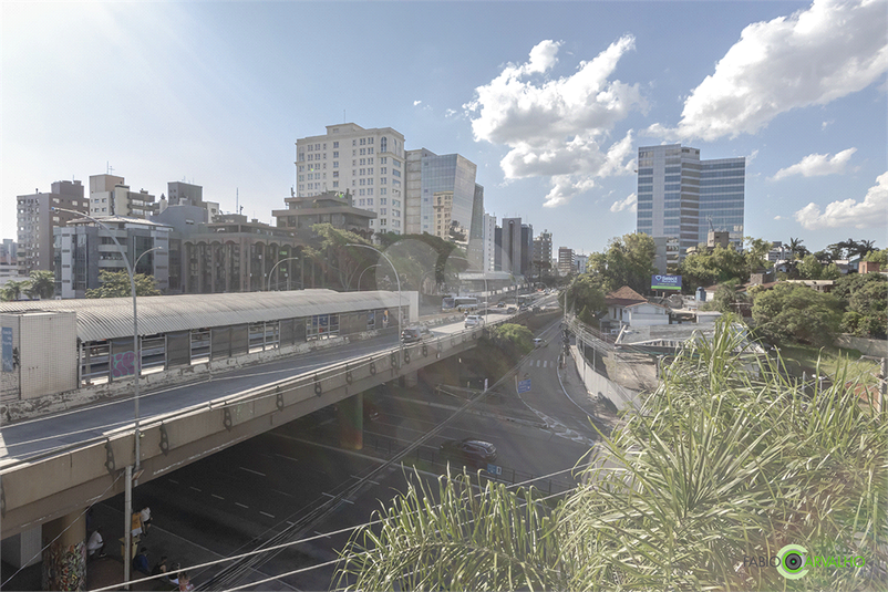 Foto REO411460