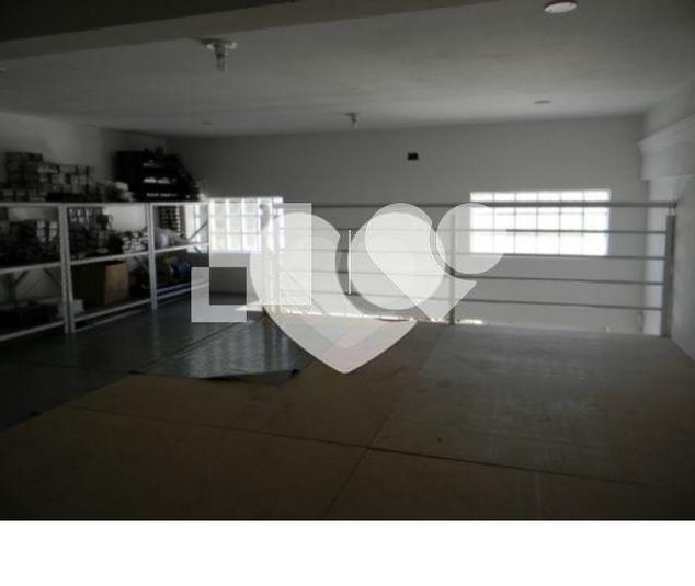 Foto REO414719