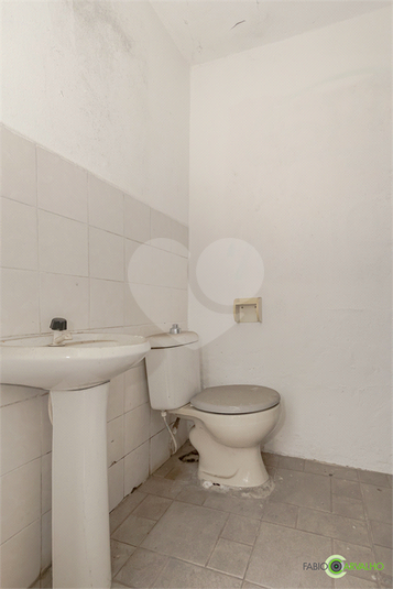 Foto REO415983