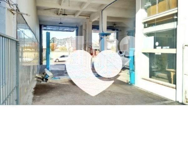 Foto REO416430