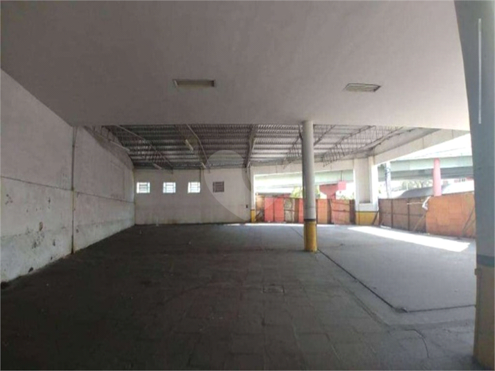 Foto REO416997