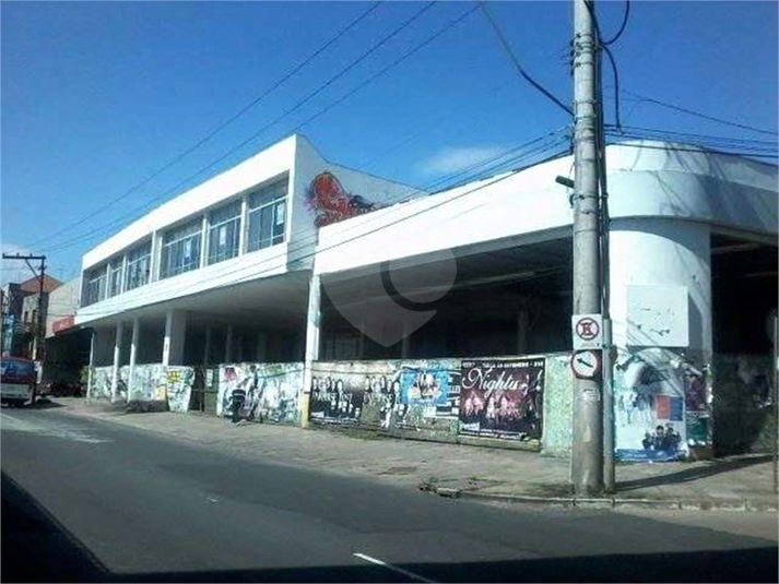 Foto REO416997