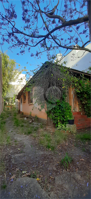 Venda Terreno Porto Alegre Chácara Das Pedras REO417415 11