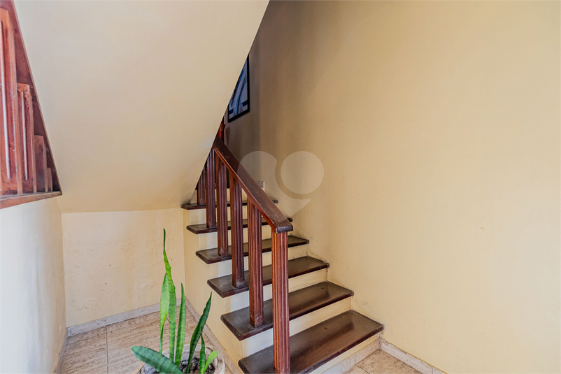 Foto REO418661