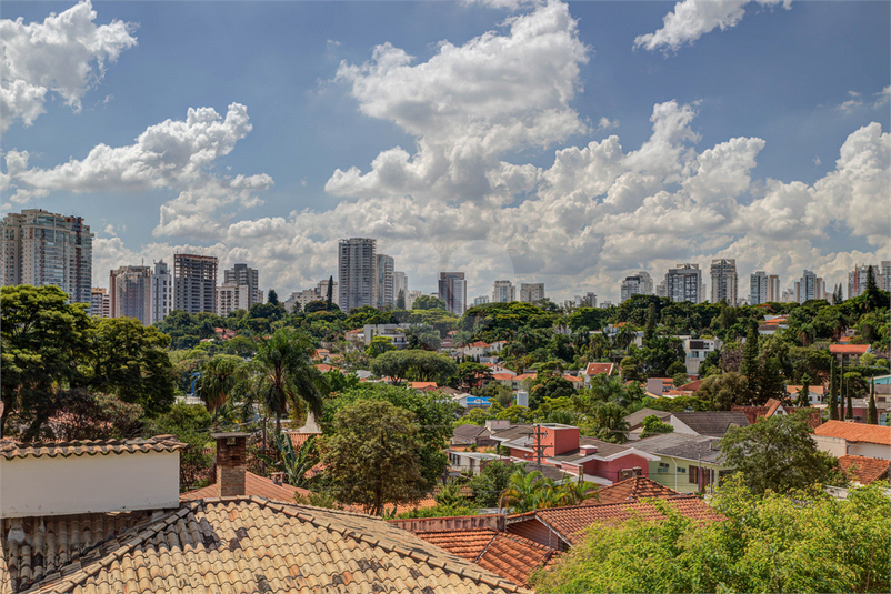Foto REO424974