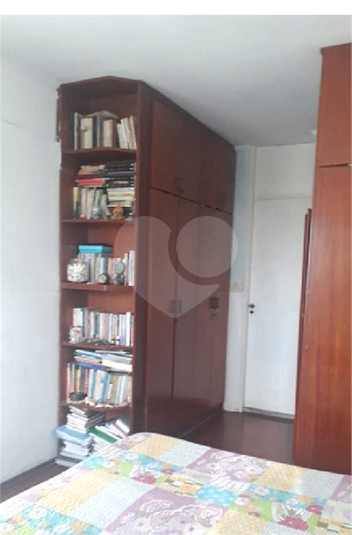 Foto REO425622
