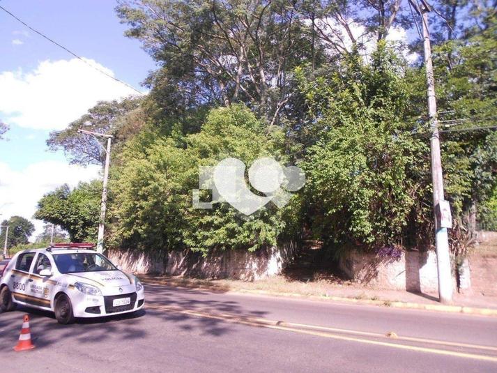 Foto REO428175