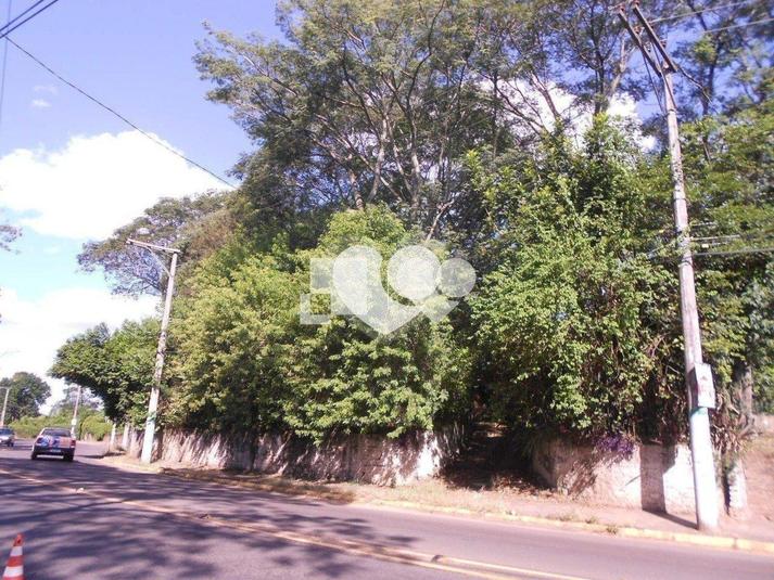 Foto REO428175