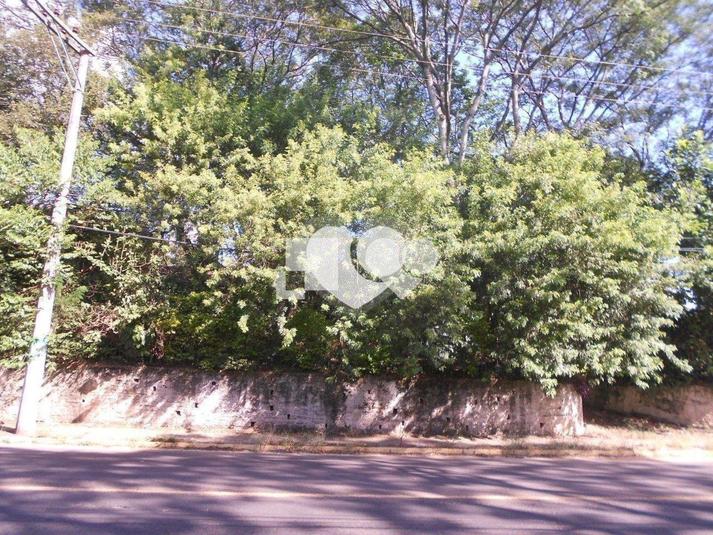 Foto REO428175