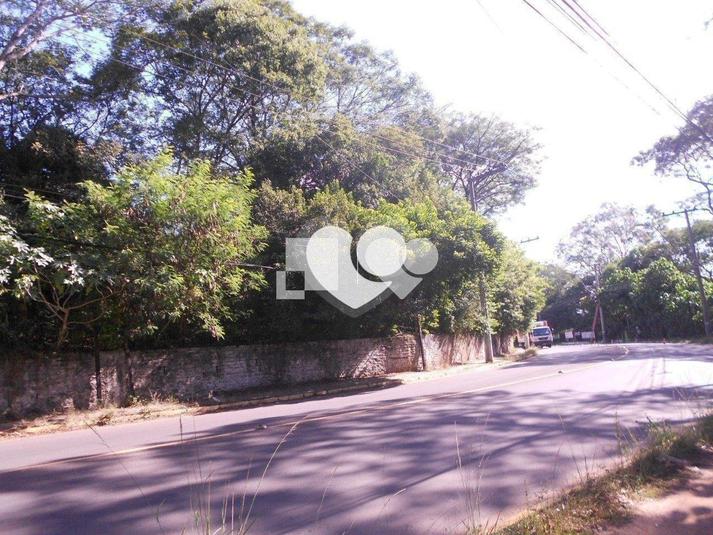 Foto REO428175