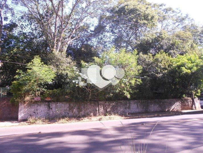 Foto REO428175