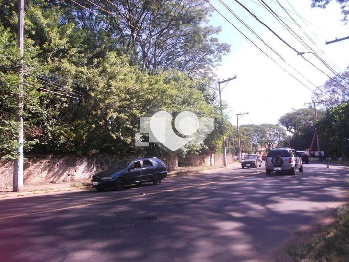 Foto REO428175