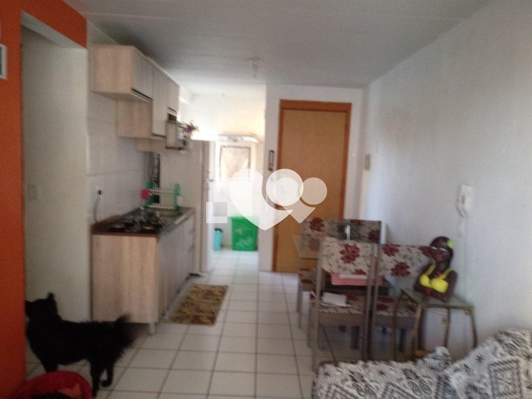 Venda Apartamento Sapucaia Do Sul Nova Sapucaia REO431636 8