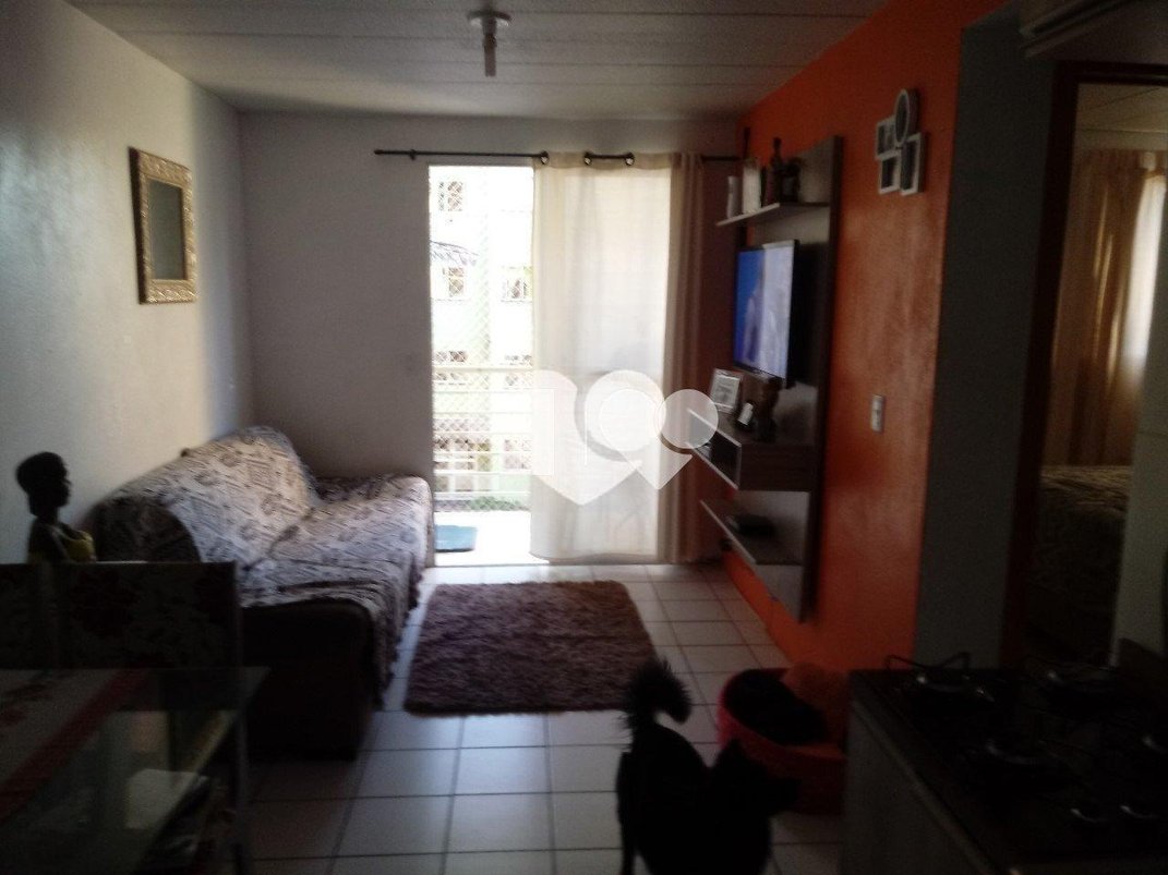 Venda Apartamento Sapucaia Do Sul Nova Sapucaia REO431636 7