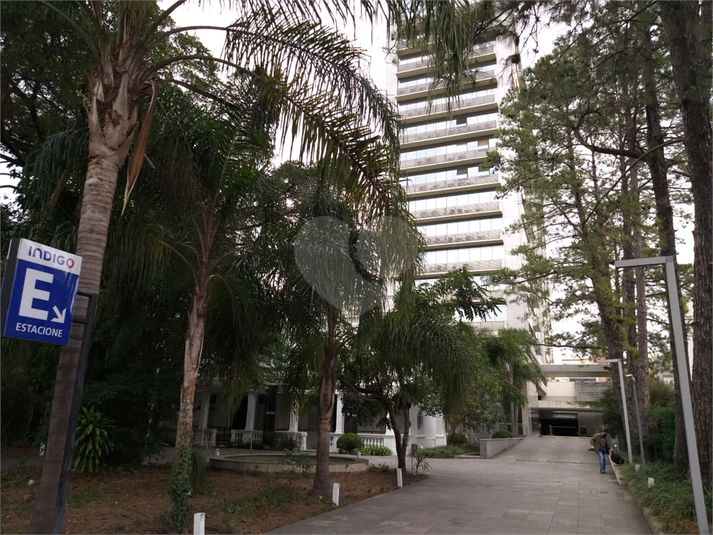 Foto REO432471