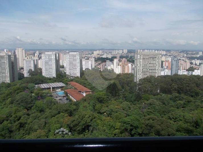 Foto REO43344