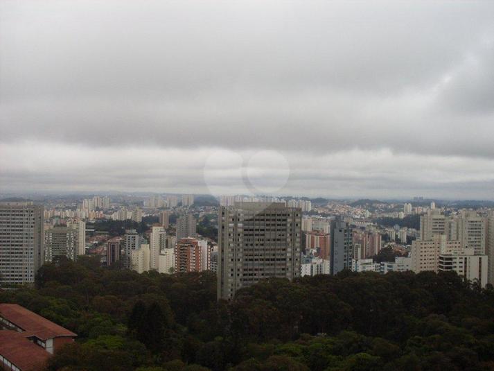 Foto REO43344