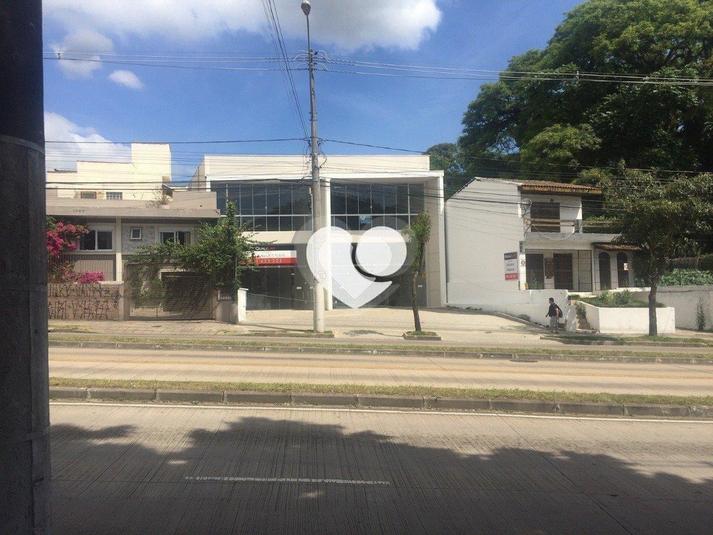 Foto REO436757