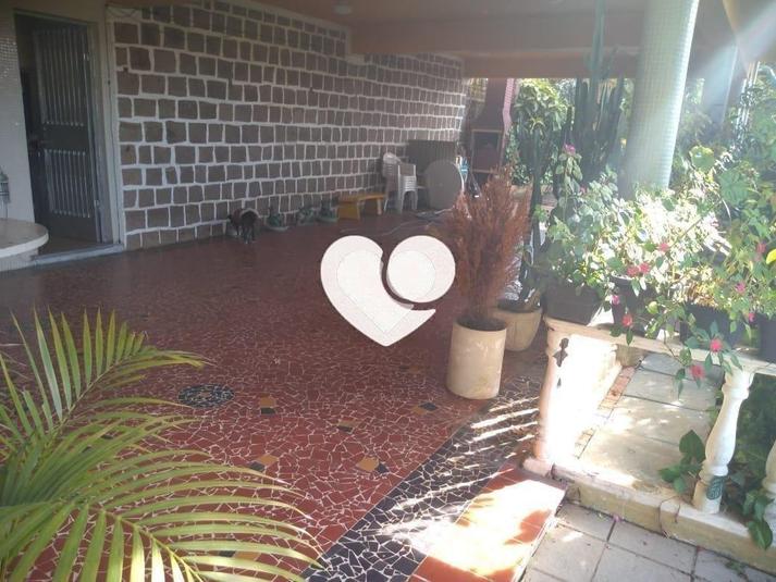 Foto REO440227