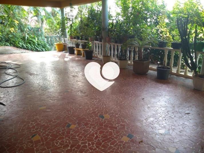 Foto REO440227