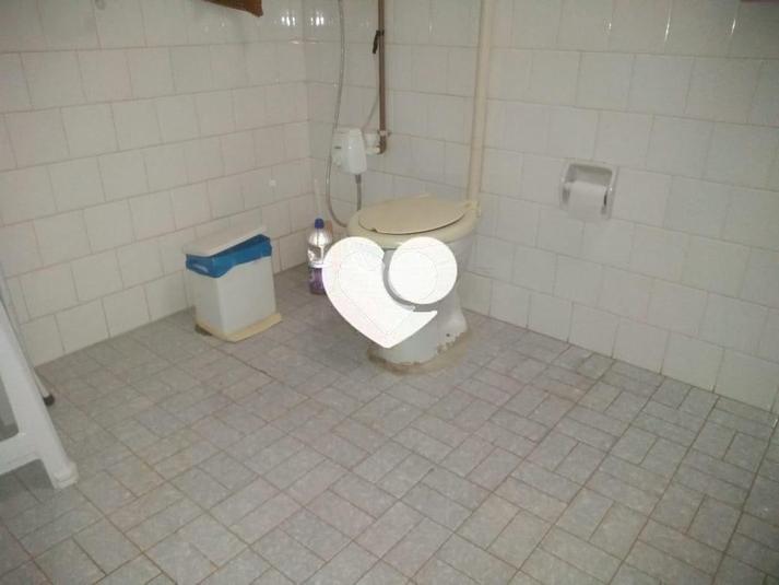 Foto REO440227